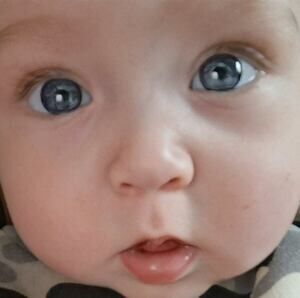 Meet your Posher, Devin